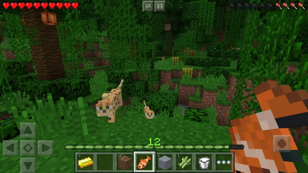 iOS我的世界(国际服)Minecraft